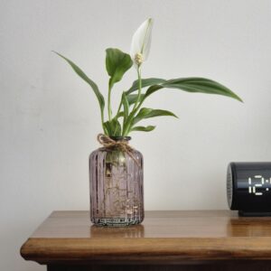 Peace Lily
