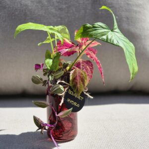 Bouquet