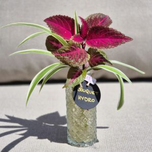 Bouquet